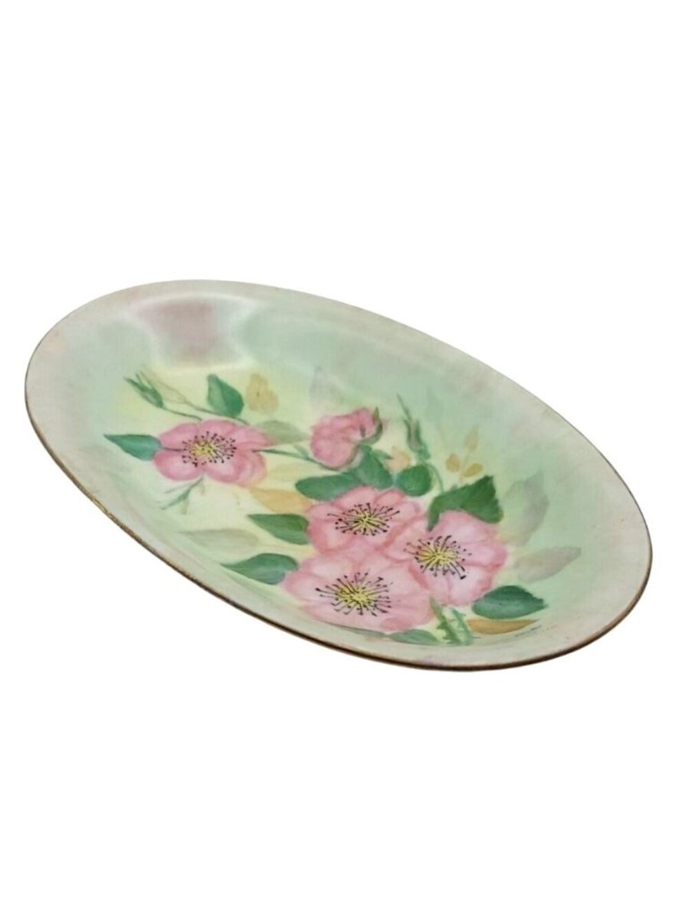 Hand Painted Floral Porcelain Dish Oval Tirschenreuth Bavaria Germany Vintage
